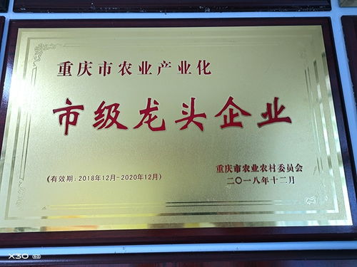 渝米集團投資近1000萬元大米智能生產線 已完成地面平整