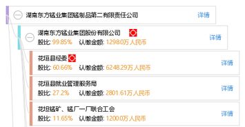 湖南東方錳業(yè)集團(tuán)錳制品第二有限責(zé)任公司